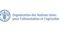 FAO/DIMITRA